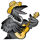 Hawaiian Crow